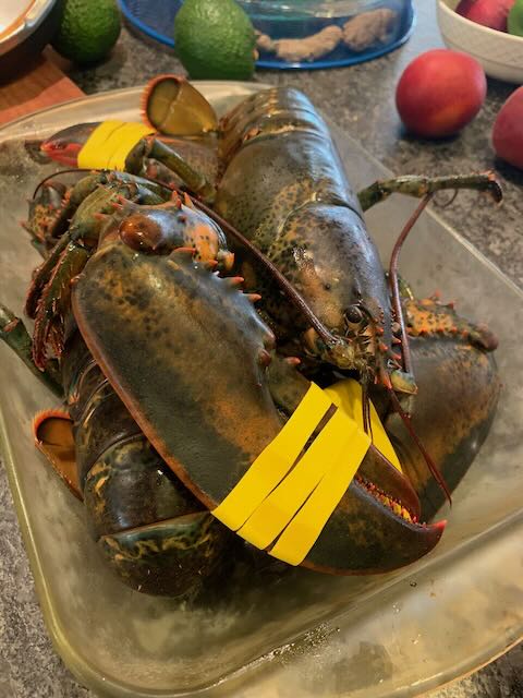 Lobster01