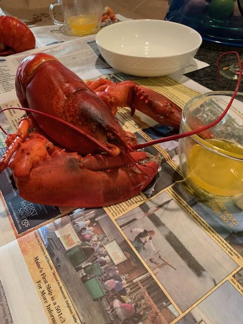Lobster02